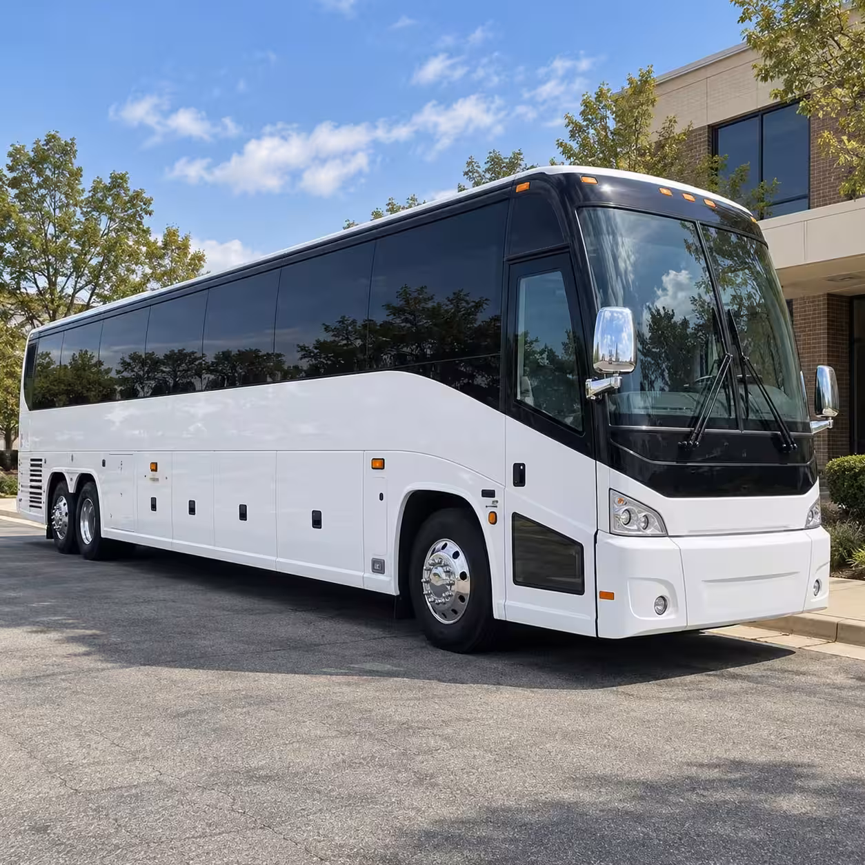 rochester prom night bus rentals from photos to after party